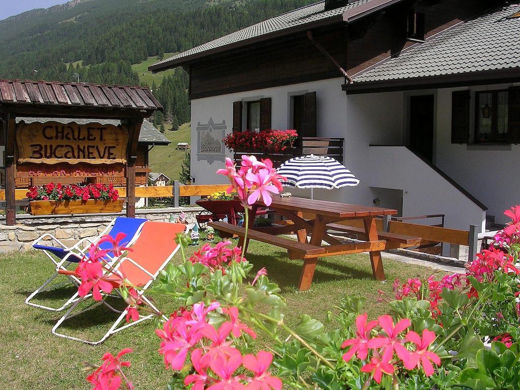 Chalet Bucaneve Санта-Катерина-ди-Вальфурва Экстерьер фото