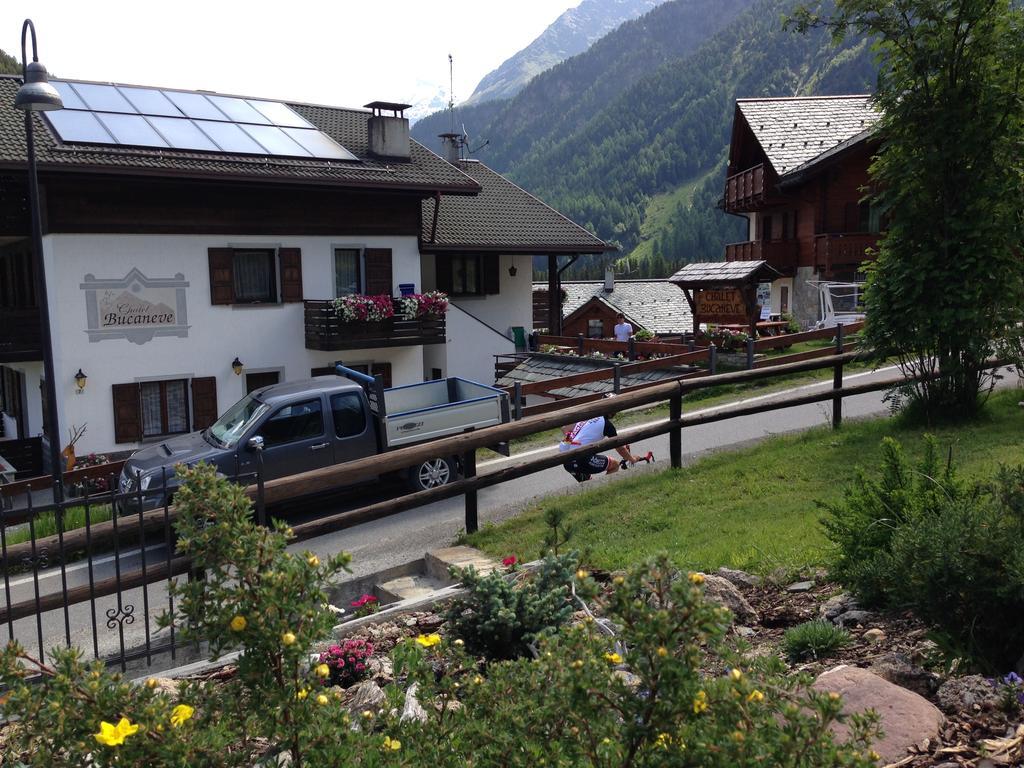 Chalet Bucaneve Санта-Катерина-ди-Вальфурва Экстерьер фото